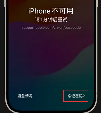 甘谷苹果手机密码维修分享iPhone忘记了刚设置的密码 